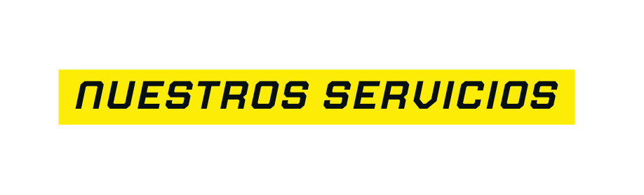 Nuestros Servicios